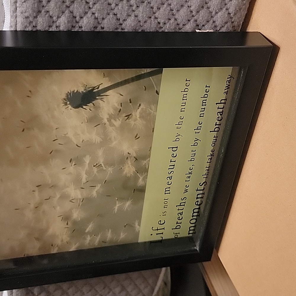 Picture - Decor - Picture 3 of 4